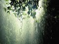 Binaural Sound Rain and Thunder