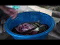 Process of Fishing and Processing Smoked Carp, Heavy Rain on the Farm | Family Farm