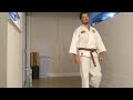 Pinan Nidan Kata Karatê Shorin-Ryu