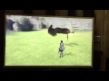Shadow of the Colossus - Flying Dead Agro