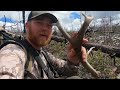 2024 Shed Hunting | Backpack Wilderness Shed Hunt