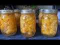 Canning CUTIES 🍊💙| Water Bath Canning Mandarin Oranges (easy)