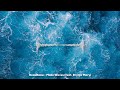 🎵 ReauBeau - Make Waves feat. Brynja Mary | Electrifying EDM Anthem 🎶🌊