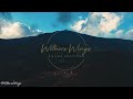 Sicily - 4K Drone video - WithersWings