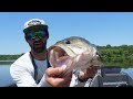 Tossed a GIANT SHAD Bait and Caught THIS!!! -- Unbelievable FEEDING FRENZY... (BIG FISH!)