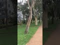 Pedal por Brasília buscando spots de 🛹