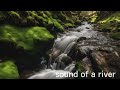 Sound of a river 3        The sound of nature is beautiful. Feel the healing time in this video.