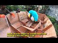 PERCOBAAN MEMBUAT PERAHU MANCING DARI BAHAN PLYWOOD || PLYWOOD BOAT PART 1