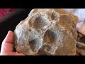 Ammonites! - How to use geologic maps to find Mancos Shale fossil locations in New Mexico