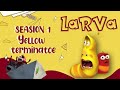 Treasure Search - Cartoons | Comics | Larva Cartoon - Fun Clips from Animation LARVA.