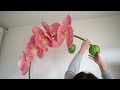 DIY Giant Paper Orchid 💕 How to make the stand, stem and #paperflower for a backdrop