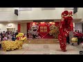 20240211 - Lion Dance - BCAA Chinese New Year Cultural Festival