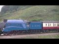 a4 bittern in trouble as it stalls on the tobay express at waterside 14/09/14