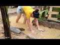 How To Build Bamboo House For Ducks 2021 | Lý Thị Ca - Ep.64