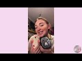 Squishmallow TikTok compilation pt.2 (very much improved!!!)