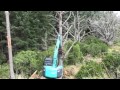 Pushing and felling dangerous trees with an excavator part 3