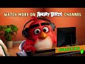 Angry Birds Piggy Tales Season 4 | Ep. 1 to 6