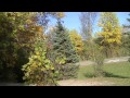 Disc Golf: Cass Benton Hills DGC