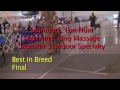 2013 Wirehaired Pointing Griffon Greeley, CO Specialty Trailer