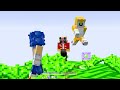 Locked on ONE CHUNK with SONIC in Minecraft!