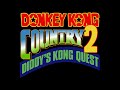 Stickerbush Symphony - Donkey Kong Country 2: Diddy's Kong Quest Music Extended