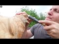 Amazing Chainsaw Carving Eagle