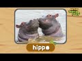 * A Big mammal * | Katuri Word Play | Learn Animals | Animals for kids to learn