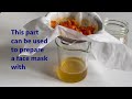 How To Make 3 Ingredients PAPAYA EXTRACT  (Store For Up To A Year) 2 Methods/ Cosmetics Formulation