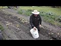 Kelcey actually working:) picking potatoes