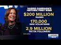 Countdown to the 2024 election: Day 99 | MSNBC Highlights