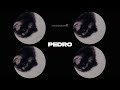 la canción de pedro || PEDRO - Raffaella Carrà, Jaxomy, Agatino Romero (Remix) [sub. español]