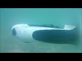 Under water Drone!!! YOCAN ROBOT