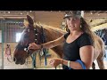 How To Put A Bitless Bridle On A HorsePower Horse (Step 2) - Volunteer Training Video