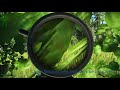 Clean Shots on Woods | Tarkov (25k XP)