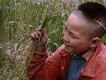 Wild China: Pandas - Living With Giants | Panda Documentary | Natural History