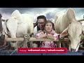 Telkomsel nekad traveler TVC