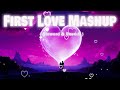 First The LoVe Mashup | LoVe Mashup 2024 ( Slowerd & Reverb ) | Non Stop LoVe Mashup |Trending Songs