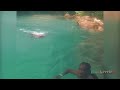 Blue Hole Ocho Rios, Jamaica |Cut from Part 2 Cele🥳Cruise🛳️Cation🏝️ #shorts #vacation #travel