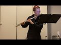 Mozart flute concerto in G 1st stanza