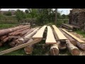Gadgets for cutting timber on board a chainsaw.