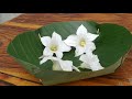 How to Make Plate from Banana Leaf