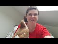 Pigeons as Pets Beginners Guide Episode #1 - Do Pigeons Make Good Pets and Are They Right for You?