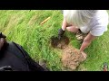 Metal Detecting UK, Classic Episode, Silver, Roman and Hornets