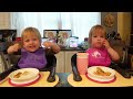 Twins try cauliflower broccoli fries