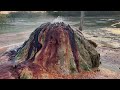 The Burketown Hot Spring Bore