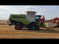 Ernte Gerste 2024 | 4 Claas Lexion, 2 Case Quadtrac, pt. 2 | Uncut, Raw Sound