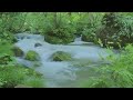 Peaceful River Sounds - 8 Hours Long#nature #meditation #asmr #relax