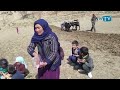 قمست اول ازکشت زراعت قلبه کردن