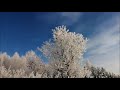 Борьба со снегом в Закатове бесконечна)))❄⛷🏞🌲🏡🌨⛄⛄🐱🐈😼🤶🌲✨🤩👍🌈