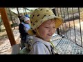 Trải Nghiệm 1 Ngày tại FLC Zoo Safari Park cùng Gia Đình